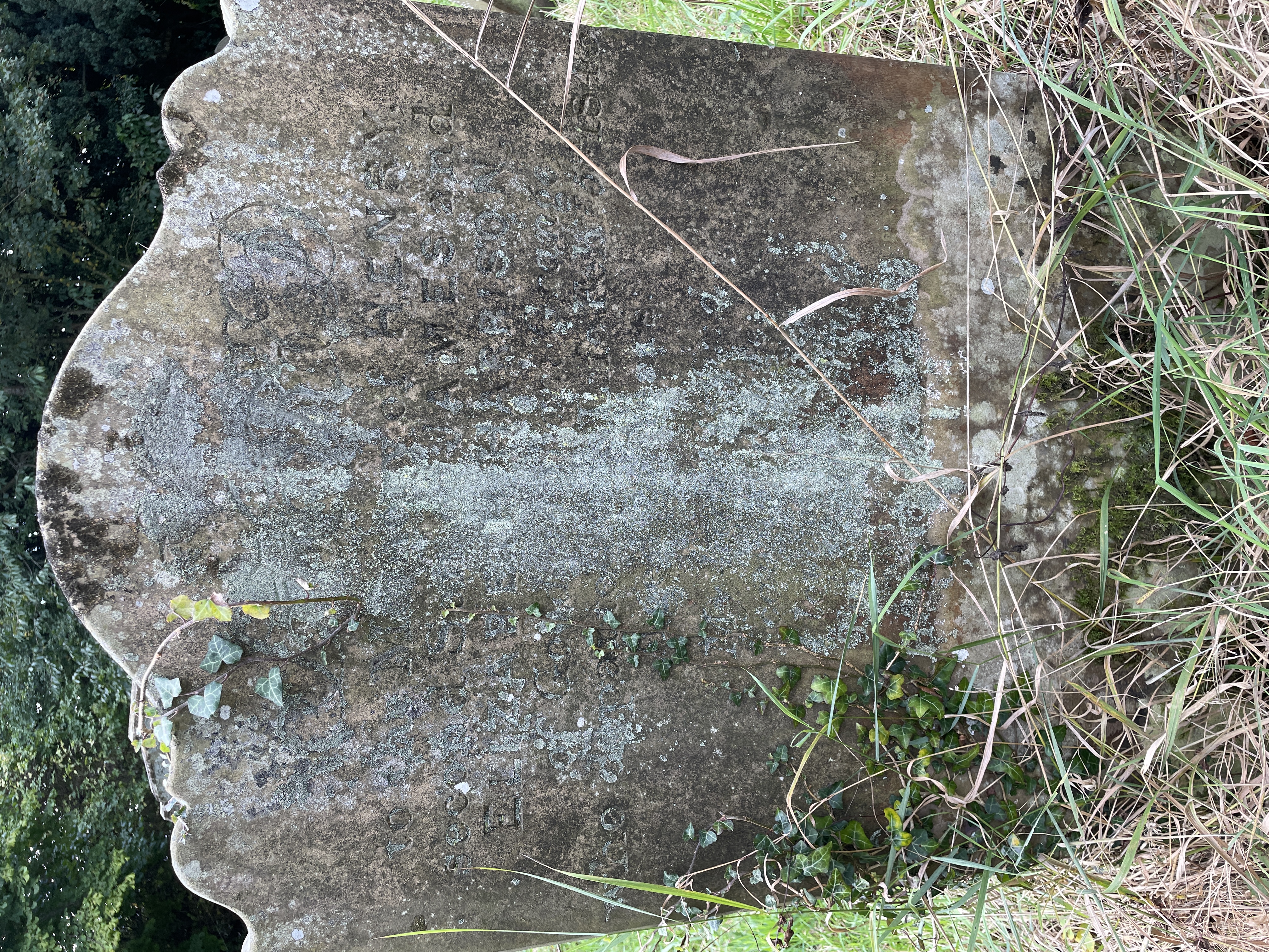 First click in the center of the circle, then click anywhere on the outside of the circle.