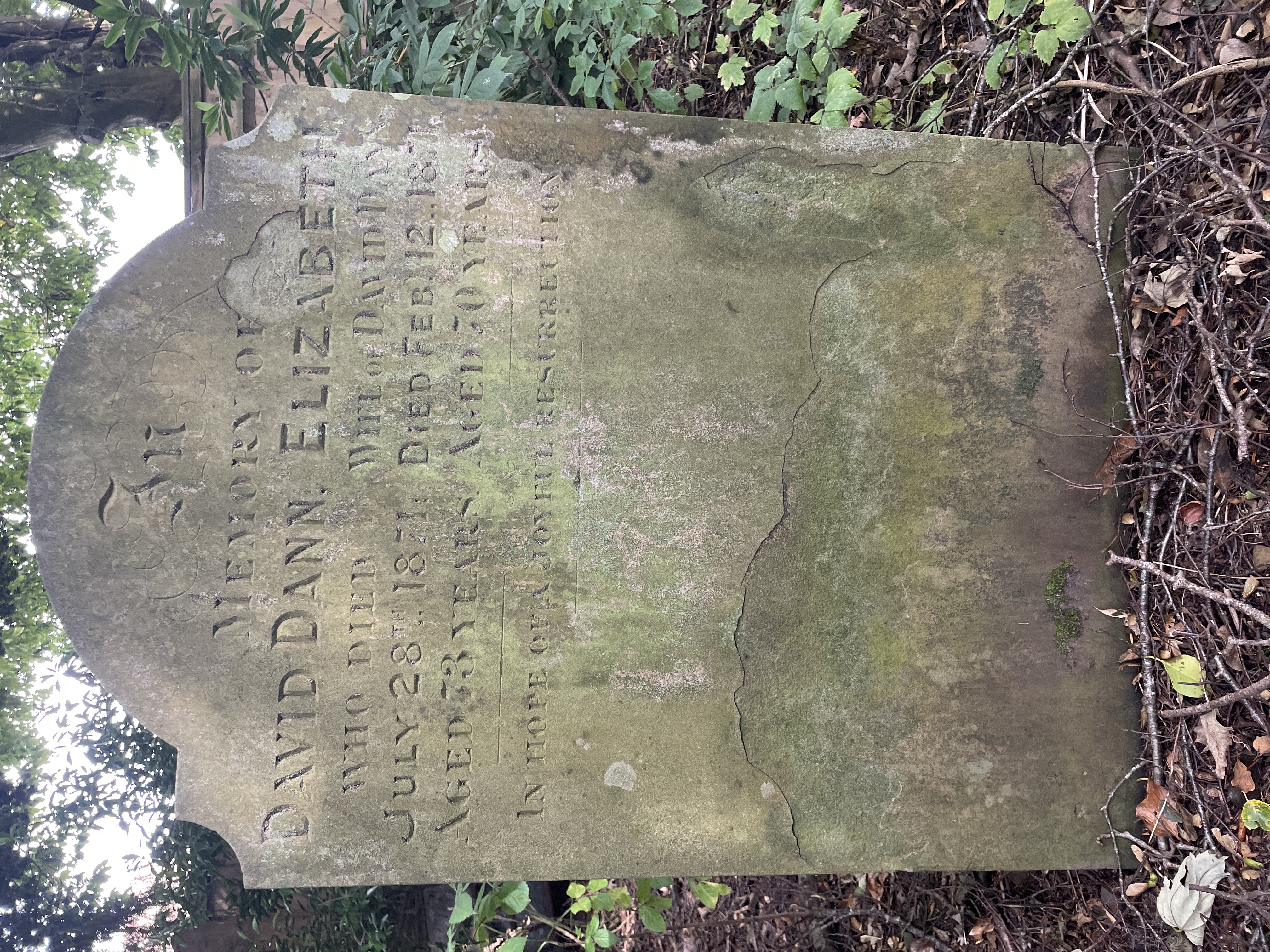 First click in the center of the circle, then click anywhere on the outside of the circle.